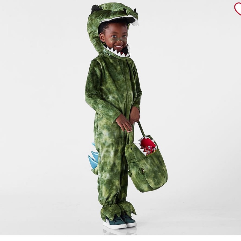 Pottery Barn Kids Green Dinosaur Costume 3T